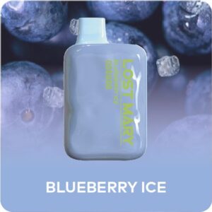 Blueberry Ice - Lost Mary OS5000 50MG 10ml
