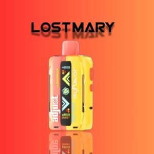 Lost Mary