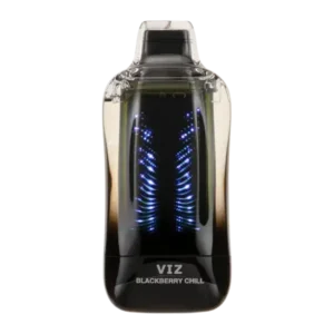 Blacberry Chill - Lost Mary Viz 55K Puffs Disposable Vape