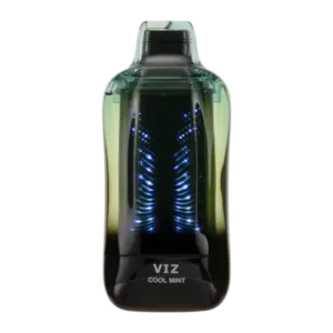 Cool Mint - Lost Mary Viz 55K Puffs Disposable Vape