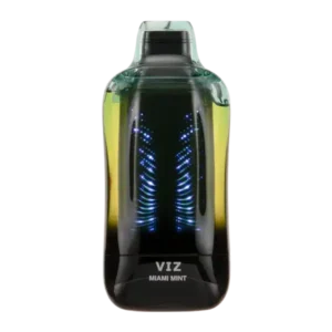 Miami Mint - Lost Mary Viz 55K Puffs Disposable Vape