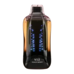Peach Berry - Lost Mary Viz 55K Puffs Disposable Vape