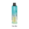 Polar Mint Lost Mary Nera